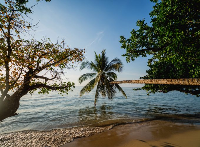 Trinidad y Tobago: cultura y playas